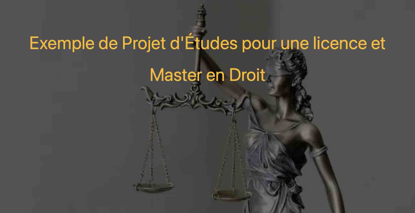 Exemple De Projet D'Études Pour Une Licence Et Master En Droit ...